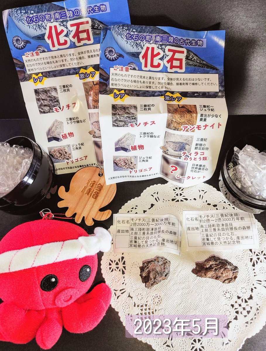 haruiuo_ch's tweet photo. #道の駅さんさん南三陸
の #さんさん商店街 も先日訪れました✨
画像①② #モノチス 化石をさわってみよう！の展示コーナーありました！☺️
③ #化石ガチャ 発見!！
2回まわす◓))✨
④家に帰ってから、そっと開封…どちらもモノチスでした（笑
#オクトパス君 と一緒に撮影🐙📸
#南三陸 は化石の町☺️ https://t.co/Rviw7Gap9n