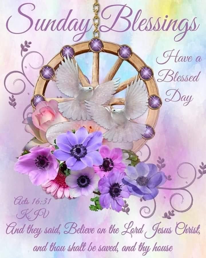 Sunday Blessings everyone. Enjoy!
💜💜💜
.
.
.
#sunday #blessings #sundayblessings #bible #bibleverse #scripture #acts #god #lord #thelord #lordgod #jesuschrist #jesus #christ #thechrist 
#enjoy #enjoylife #blessed  #love #believe #davisonlupinski #toridavison