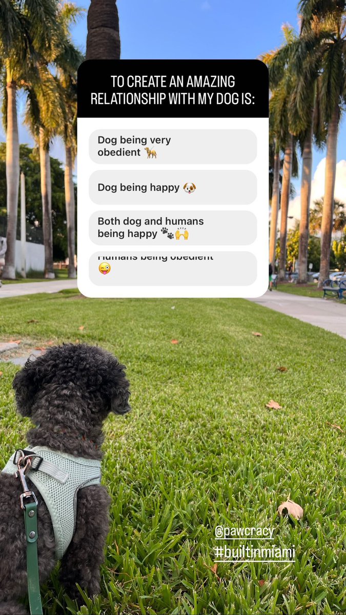 Instagram said Humans being obedient 🐶 What do you think?
#dogparents #dogmom #dogdad #builtinmiami