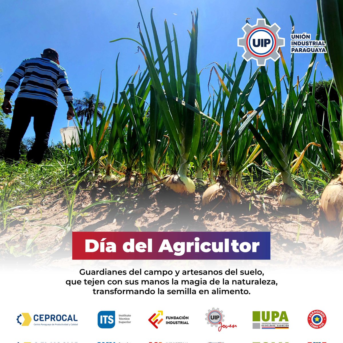 UIP_py's tweet photo. 👨‍🌾 Saludamos a todos aquellos que hacen posible que los alimentos lleguen a nuestras mesas. ¡Felicidades en su día y que cada semilla plantada se convierta en una cosecha abundante! 🧺

#UIP #Agricultor https://t.co/epbFACmil0
