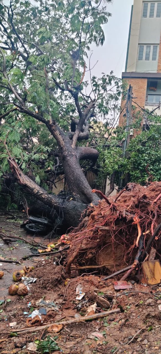Power supply interrupted in N1 Subdivision area due to wind and rain. Restoration work is under progress.
