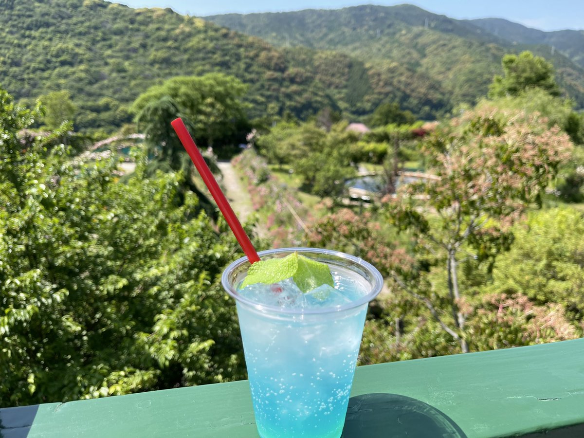 Modako's tweet photo. モネの庭も無料ゾーンでQRコードが！
#歩ける植物図鑑高知
#モネの庭 https://t.co/f6ZJsrO7xl