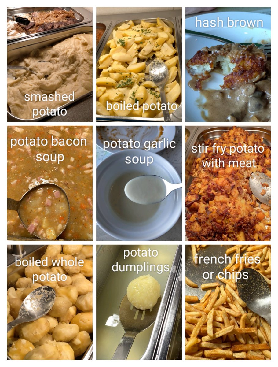 AbbyJiaying's tweet photo. What do we eat in a German research vessel ? I would summarise it as follow: potato, meat and sauerkraut. ๐ The chef is really very creative in cooking potatoes! #SO298 https://t.co/GrC1vbarMY