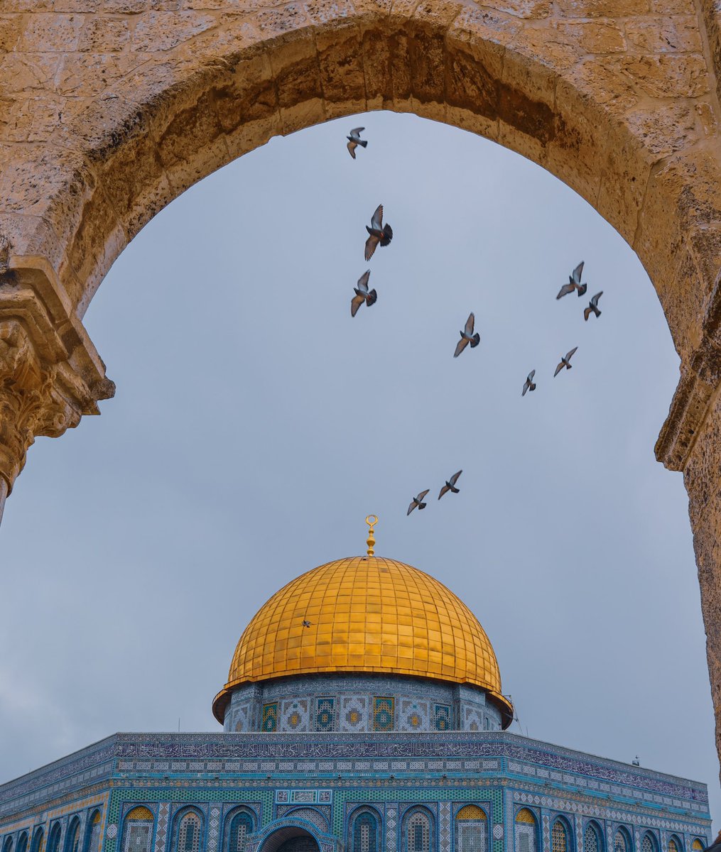 “Ülkendeki kuşlardan ne haber vardır”

🗺 Kudüs