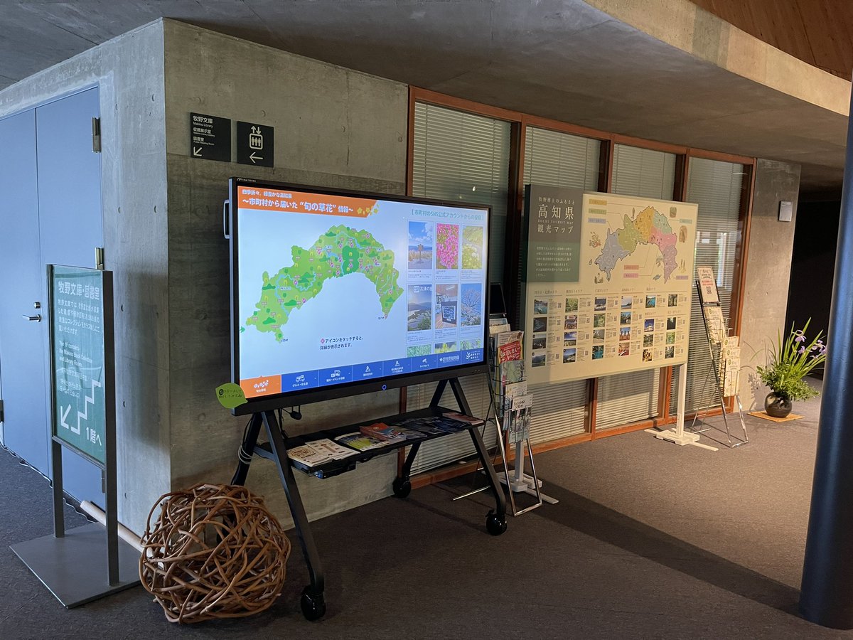 Modako's tweet photo. 牧野植物園で本日最終。
入場して本館��中の案内所の奥というめちゃくちゃわかりにくい場所にありました。
#歩ける植物図鑑高知
#牧野植物園 https://t.co/oizpRwqEqI