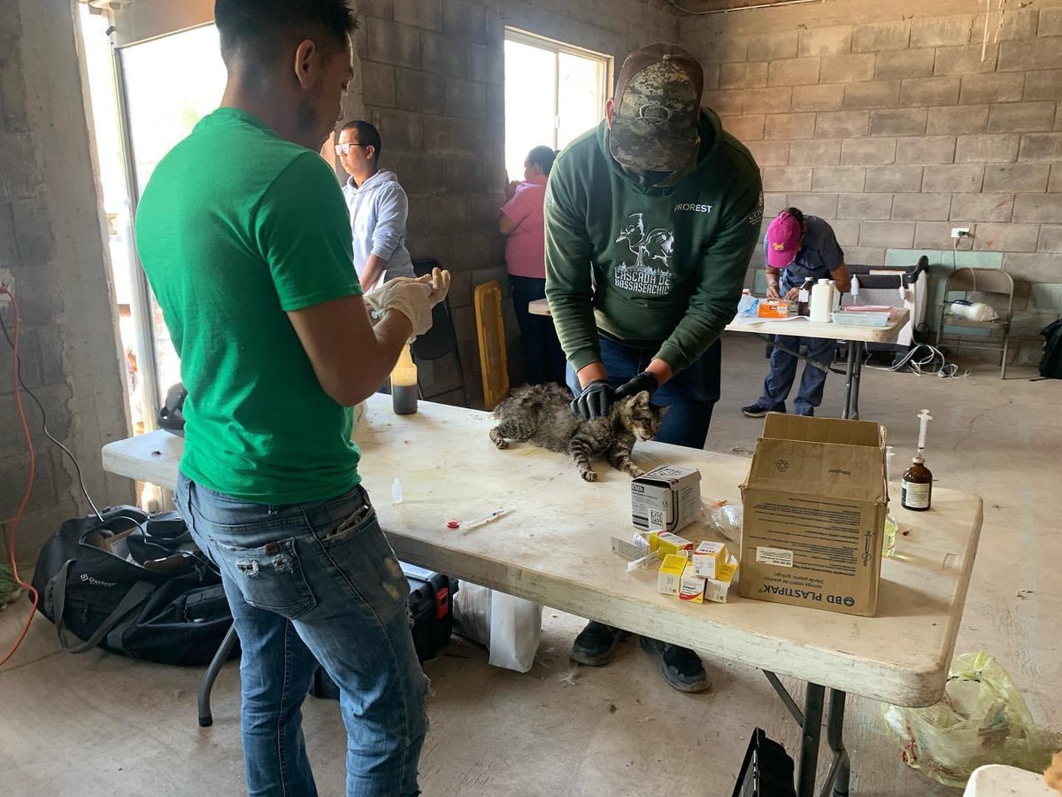 CompassionCopp1's tweet photo. HUGE thank you to all those volunteers who came out and made it possible for 353 animals to be sterilized🙏 and to all our supporters for following us along the way❤️
Support that goal by donating https://t.co/UgNkbq43HQ https://t.co/agbAIAqT8o