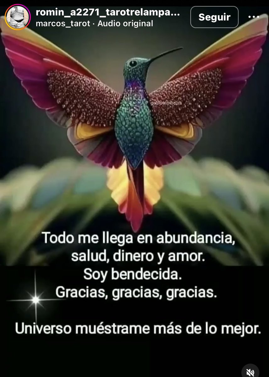 Sololuz5's tweet photo. Gracias! Gracias! Gracias! https://t.co/PgbfT5WpRB