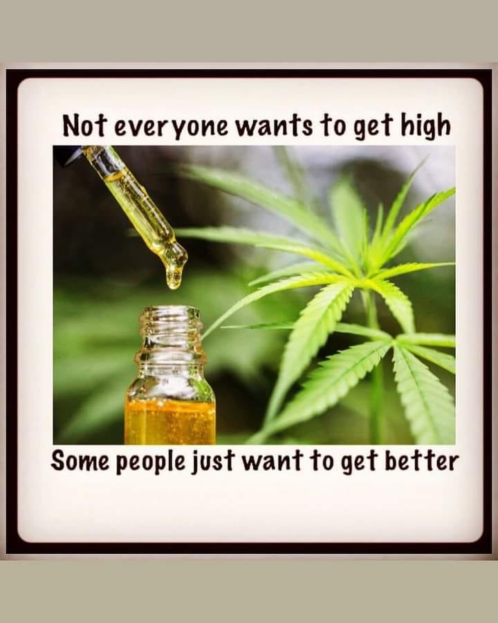 cannabishub's tweet photo. https://t.co/j6sFby41uc