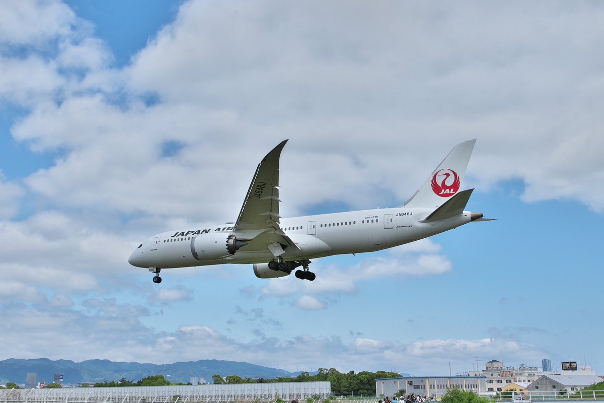 B787_ITMBASE's tweet photo. #ITM
#伊丹空港
#千里川土手
#JAL
#飛行機
#B787 https://t.co/pOHldwDUbc