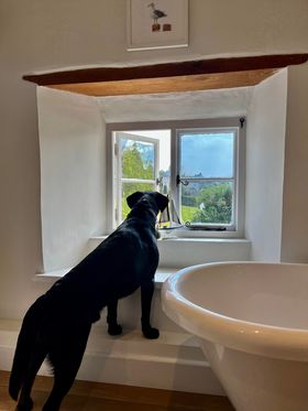 Rill_House's tweet photo. Holidaying with your dog for the 1st time? Here are some top tips https://t.co/HnbLHVo3xY #holidayswithdogs #Dogsarefamily #dogsonholiday @TheGoodDogGuide @dogfriendlyinfo @Dogs_Today @yourdog #DogsofTwittter #labrador #alldogswelcome https://t.co/F8In03tPUF