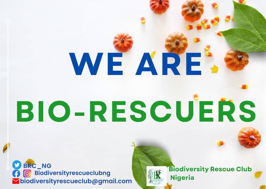 BRC_NG's tweet photo. Do not use #Afforestation as a reason to #Deforest! Yes, we can plant new ones while still protecting the already existing trees. For #ClimateJustice we must
#Conserve and #Preserve #Forest as they do their duty of carbon sinks for #Earth. #WeAreBio-#rescuers
#SustainanbelAction https://t.co/2gFLj7rmii