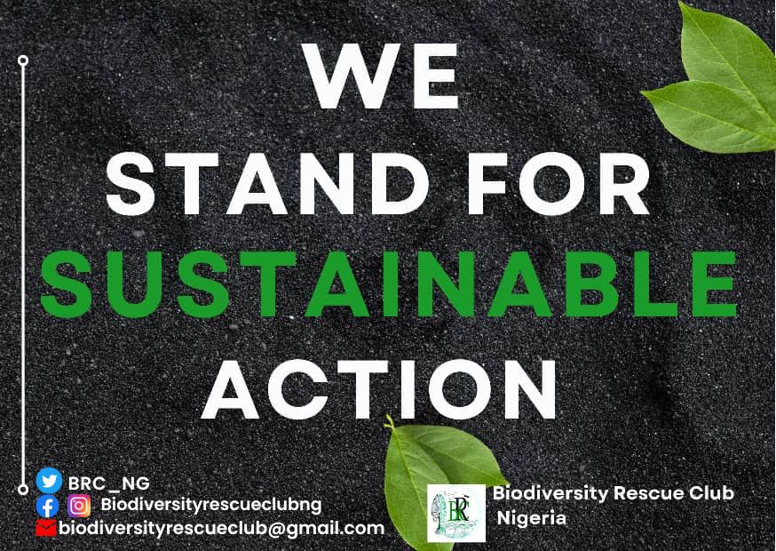 BRC_NG's tweet photo. Do not use #Afforestation as a reason to #Deforest! Yes, we can plant new ones while still protecting the already existing trees. For #ClimateJustice we must
#Conserve and #Preserve #Forest as they do their duty of carbon sinks for #Earth. #WeAreBio-#rescuers
#SustainanbelAction https://t.co/2gFLj7rmii
