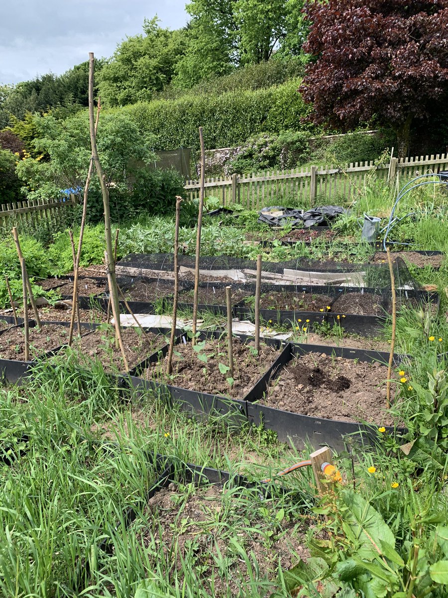 Lovely garden day …… early summer really here, now for the bees 🐝
