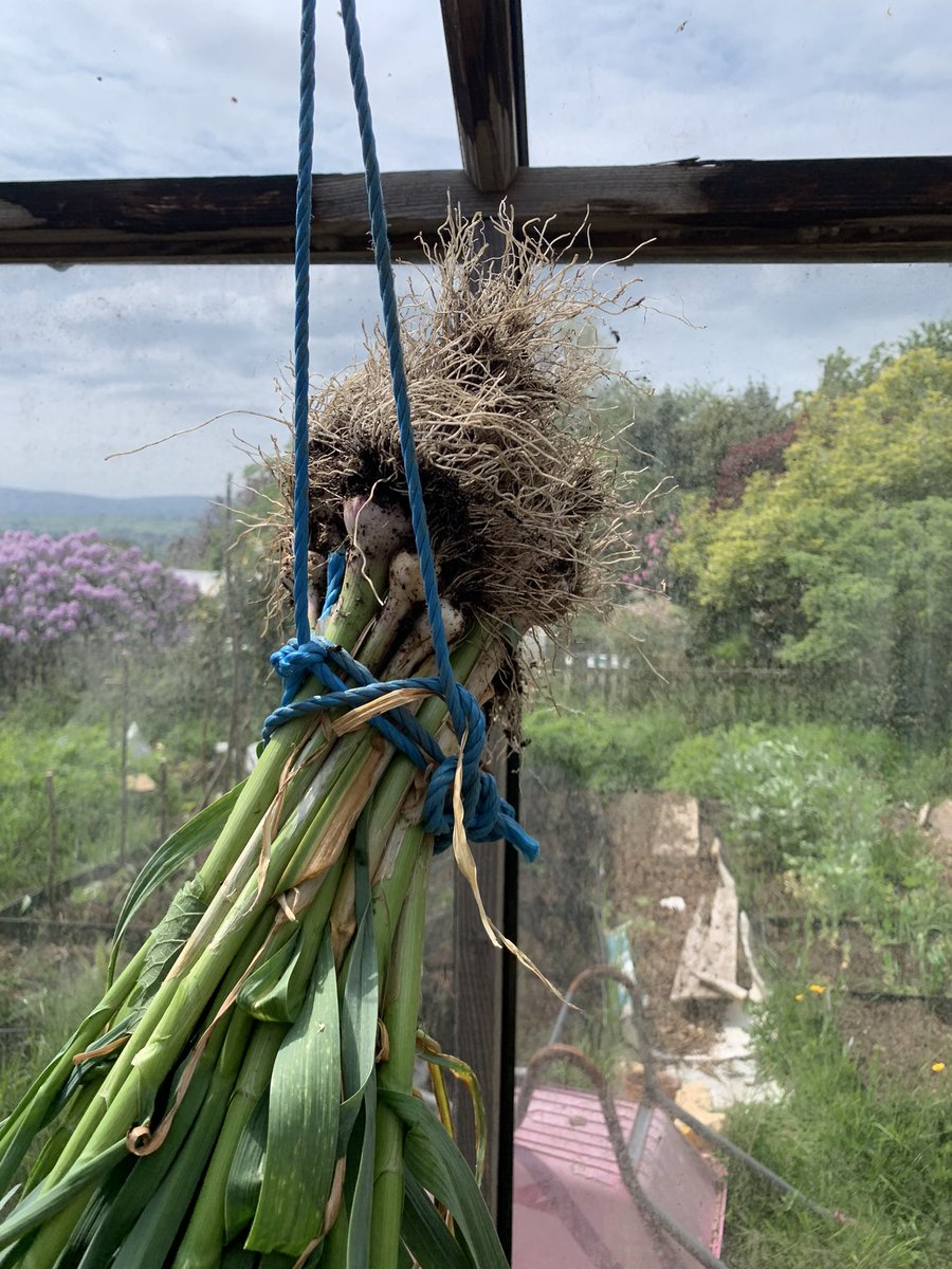 woolanthings's tweet image. Lovely garden day …… early summer really here, now for the bees 🐝