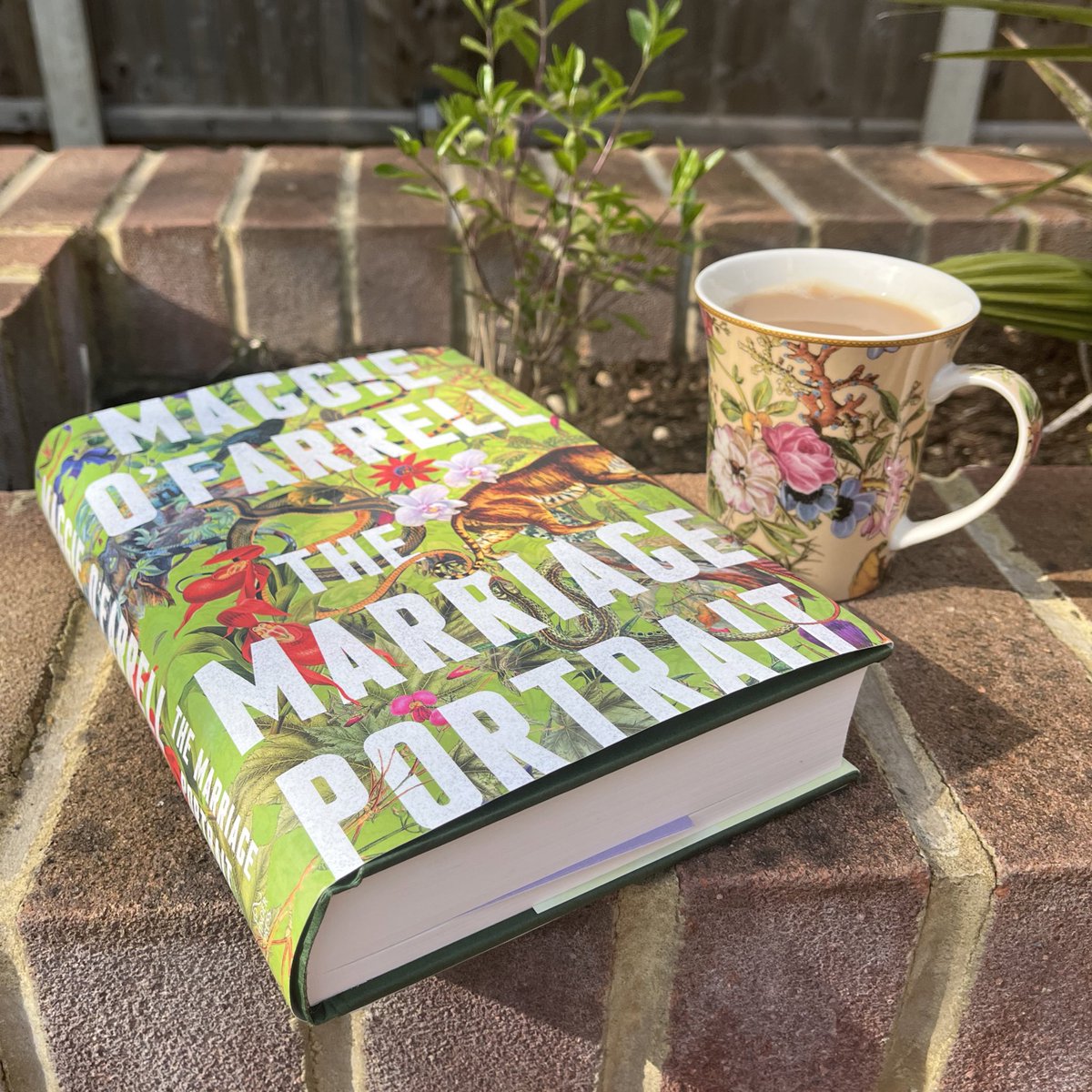 I usually take these photos before I read, so the book is in pristine condition. With Maggie O'Farrell’s
The Marriage Portrait, I couldn’t put it down long enough to get a photo until I’d finished. #MaggieOFarrell 
#TheMarriagePortrait #amreading