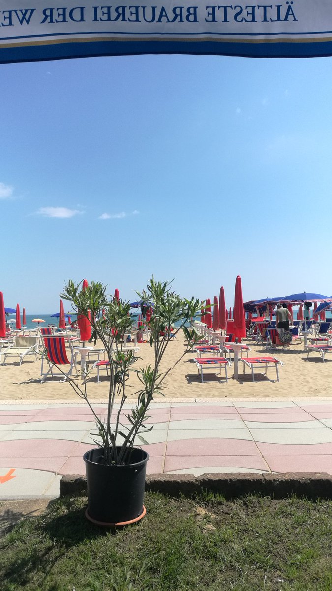 MarcoPortello's tweet photo. #jesolo un assaggio di stagione https://t.co/VAO21UOEZ9