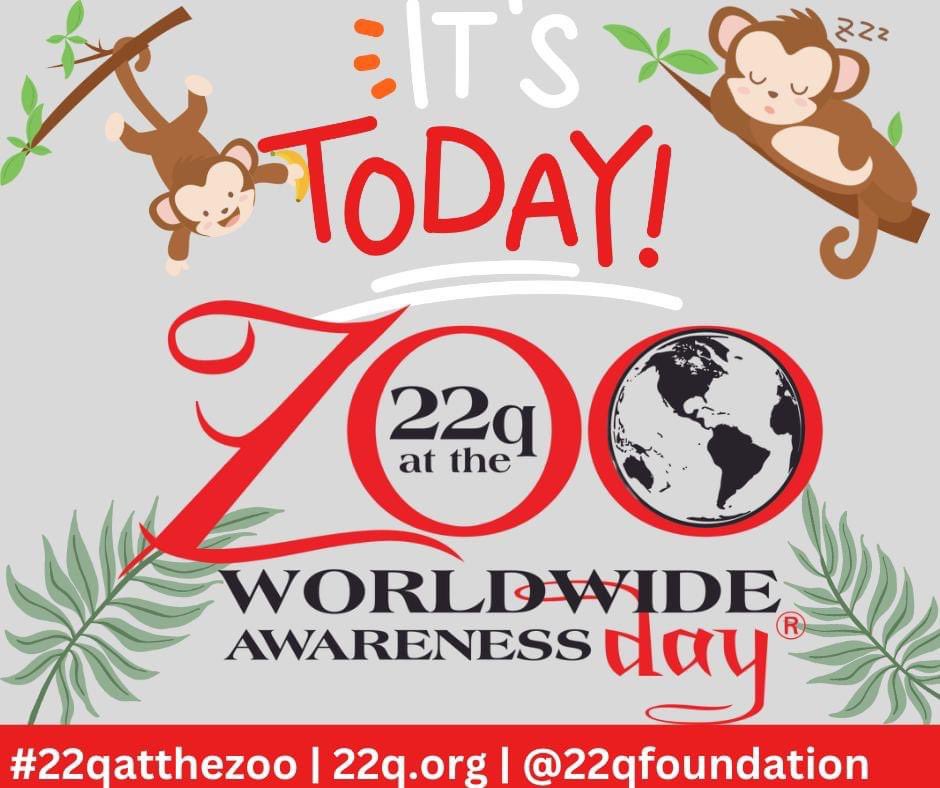 22q11.2 Foundation tweet media