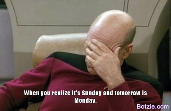 Botzie (@botziecom) on Twitter photo 