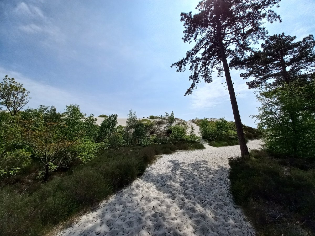 #schoorl 😎🌳🌞