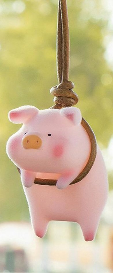 #poolpack tweet media