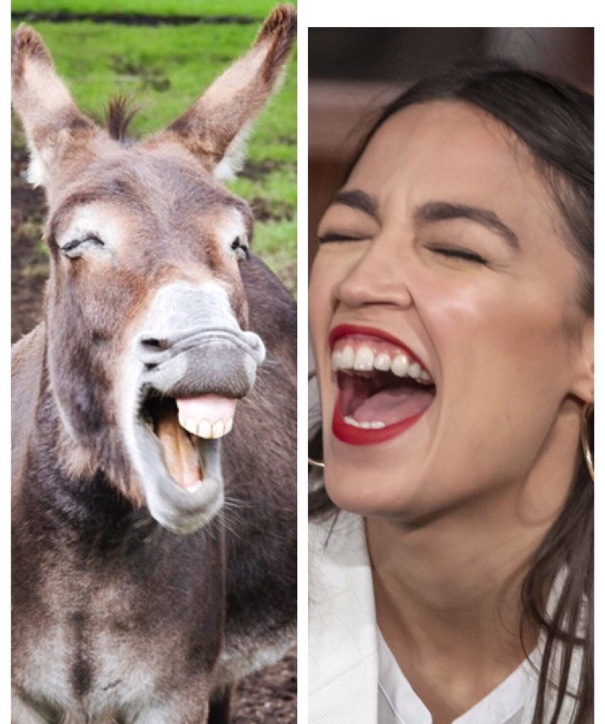 gary37h's tweet photo. AOC said Gov. DeSantis needs to read the Bible. Something tells me, the Big blowmouth of the Demonrats, doesn't know what the Bible looks like. https://t.co/fwP8XY2RFQ