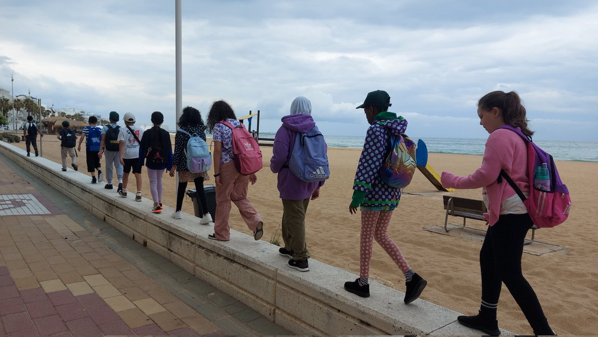 robert cleary tweet media