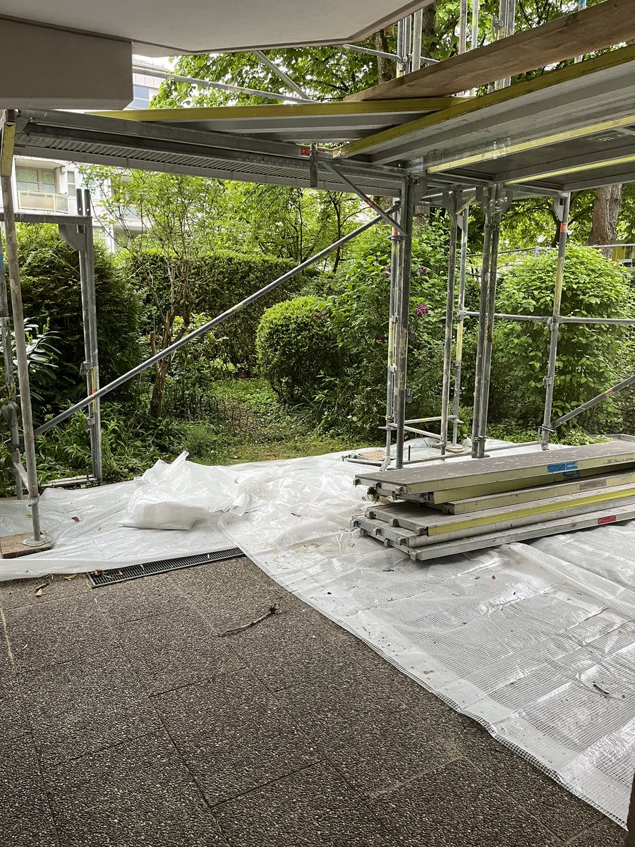 Lisa Davis tweet media