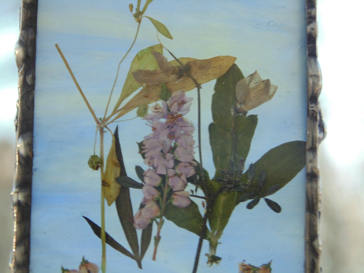 stndglass's tweet image. Pressed flower art ornament, framed dried flowers in stained glass, Heather flowers cottagecore decor tuppu.net/64d92d7a #Etsy #DesignsStainedGlass #suncatcher #StainedGlassArt