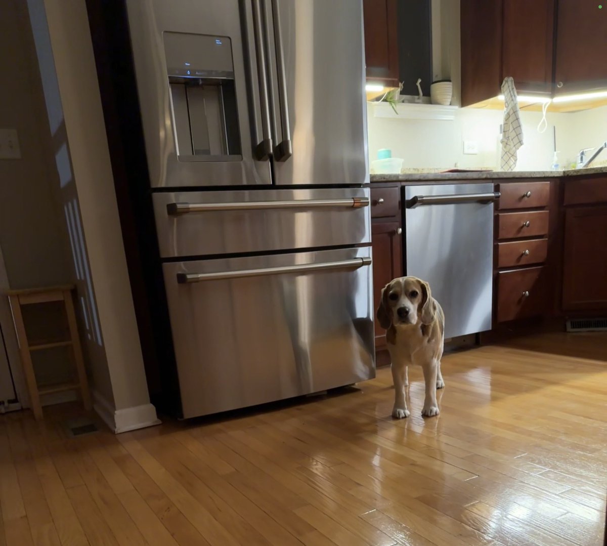 Oliver’s favorite place in the whole house 😋