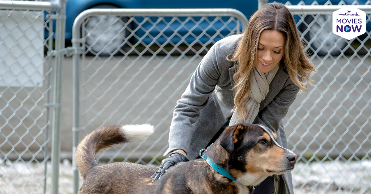 HallmarkPlus's tweet photo. Who's training who? Julia @kramergirl finds #LoveAtFirstBark now streaming on #HallmarkMoviesNow! https://t.co/O89PXUZqrM