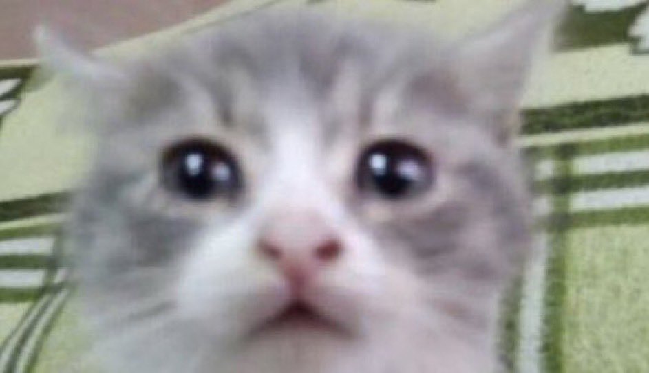 ouiouiapey's tweet image. First date idea I stare at you like this