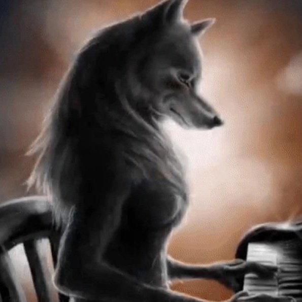 solteros jiji tweet media