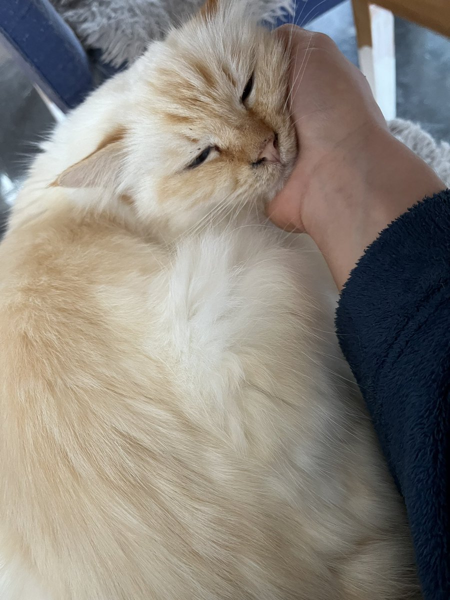 Kaymin | Armin tweet media