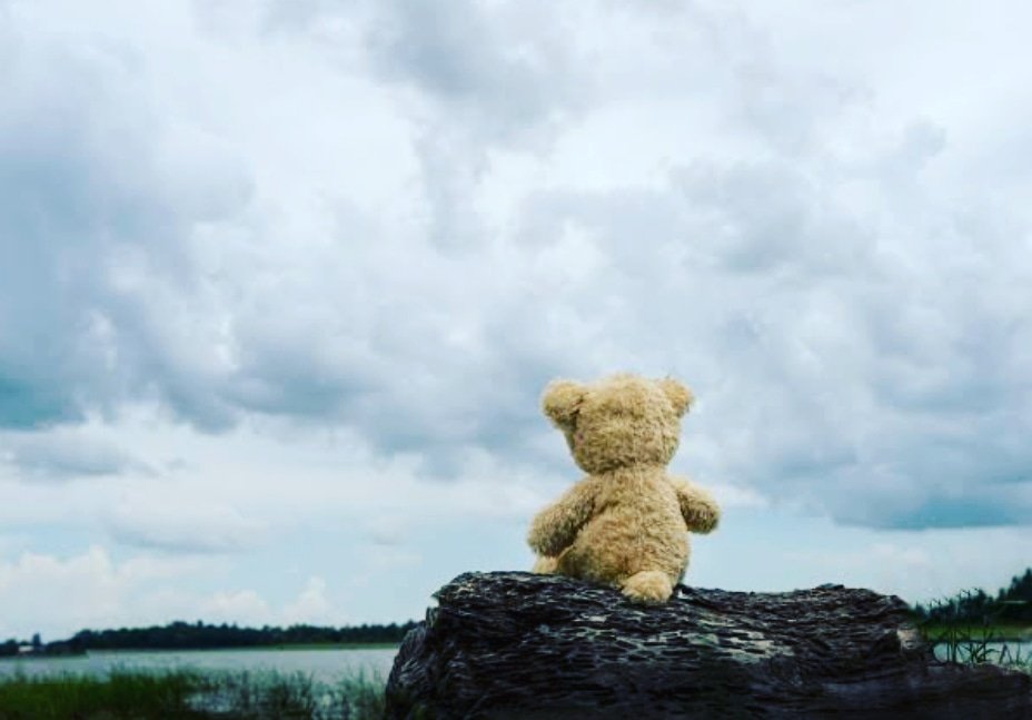 TeaVallarta's tweet image. Hay un tipo de ser humano que no le gusta salir, prefiere quedarse solo en su habitación... y cuando se va, hace su trabajo y vuelve sin conocer a nadie...
.
Son las mismas personas que tienen uno o dos amigos cercanos y no se preocupan por nadie. (1)
#Introvertida #Autista