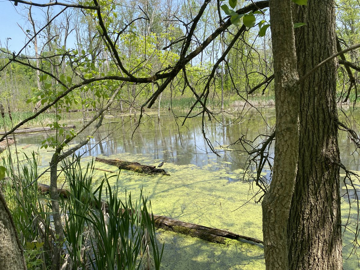 My current view. 😎 🎣