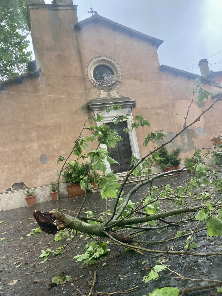 ValorVeio's tweet photo. Sono mesi che segnaliamo al @comuneroma un intervento per la potatura dei platani ad Isola Farnese. Oggi, causa il forte vento, si è rischiato con la caduta di grossi rami. @gualtierieurope cosa dobbiamo aspettare? @DanTorquati @corriereroma @rep_roma @romafaschifo https://t.co/dLROiVgKKC