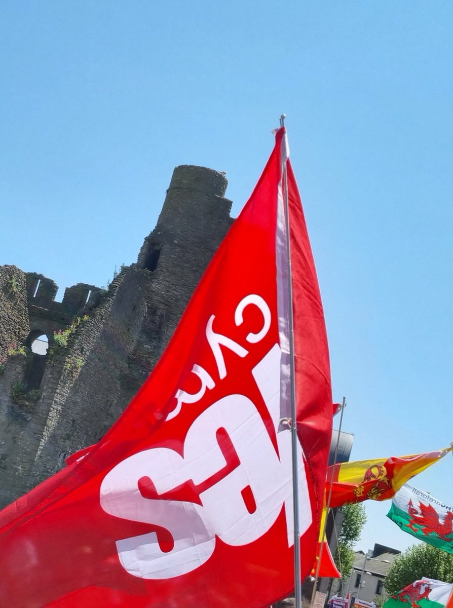 Not a bad weekend at all! 🐾🏴󠁧󠁢󠁷󠁬󠁳󠁿 <a href="/AUOBCymru/">AUOBCymru</a> <a href="/YesCymru/">YesCymru</a> #AUOBabertawe