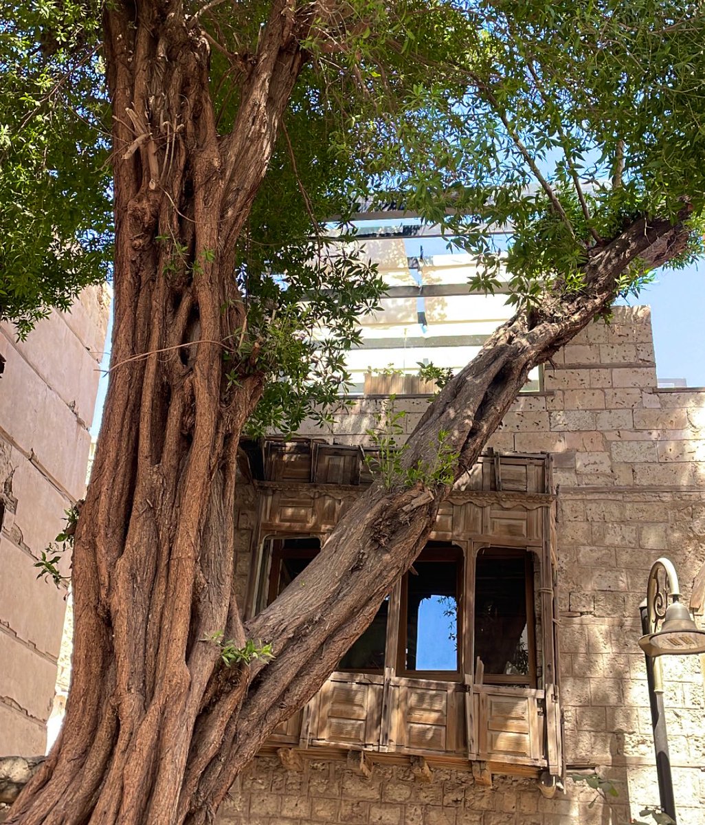 rawnaaba's tweet photo. تدريب رمضان . 2023 🏛 مابين الماضي والحاضر 👩🏻‍💻 https://t.co/gOZDYEw4eb