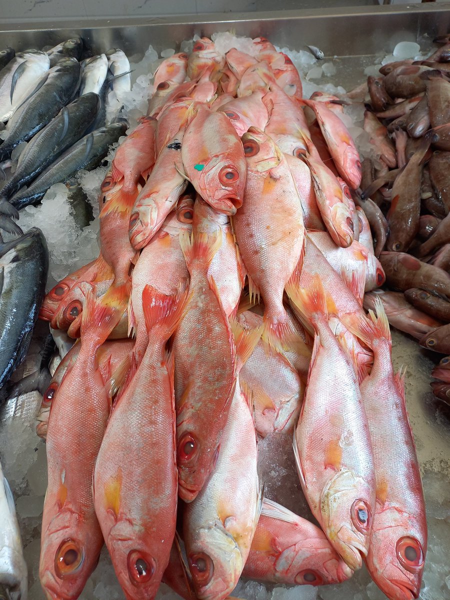 Rajeev Raghavan tweet media