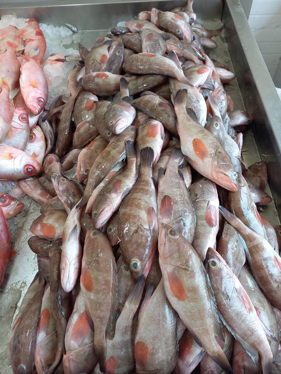 Rajeev Raghavan tweet media