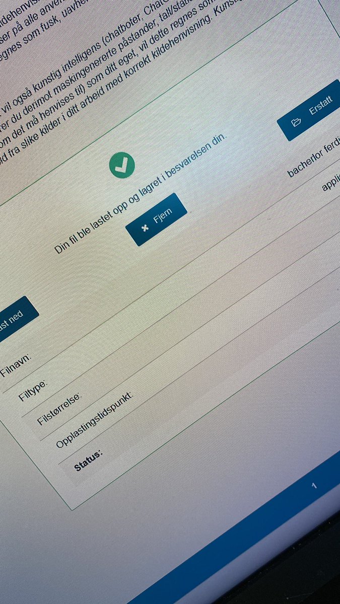 Da er bachelor levert og jeg har allerede plass på master. Jeg har ferie til september. Etter tre år med arbeid døgnet rundt har jeg fire helt tomme måneder. Jeg kommer til å gå på veggen.