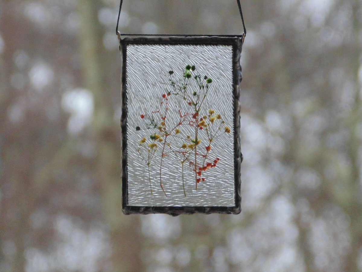 stndglass's tweet image. Pressed flower mini wall art framed in stained glass, mini wall art tuppu.net/a9f5c52a #suncatcher #DesignsStainedGlass #Etsy #DriedFlowerArt