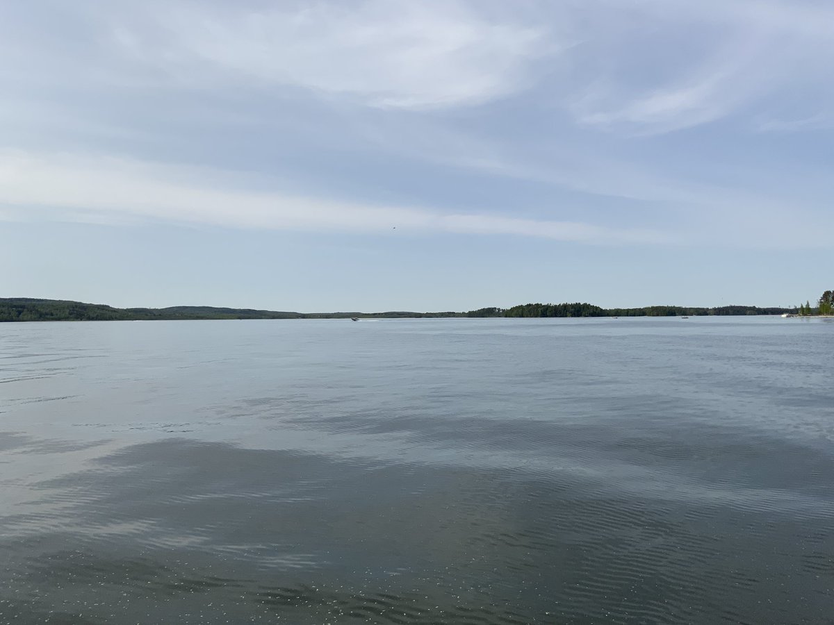 MinnaHalme's tweet photo. Tuntuu ihan kesältä #hollola #montaluontoa #vesijärvi https://t.co/vwICgsmI8r