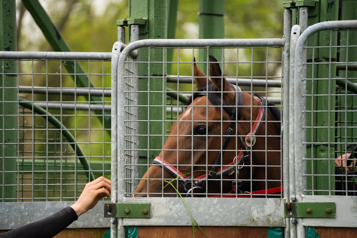 Saturday Stalls for a few of our youngsters yesterday morning 🏇🏼 #JohnMcConnellRacing