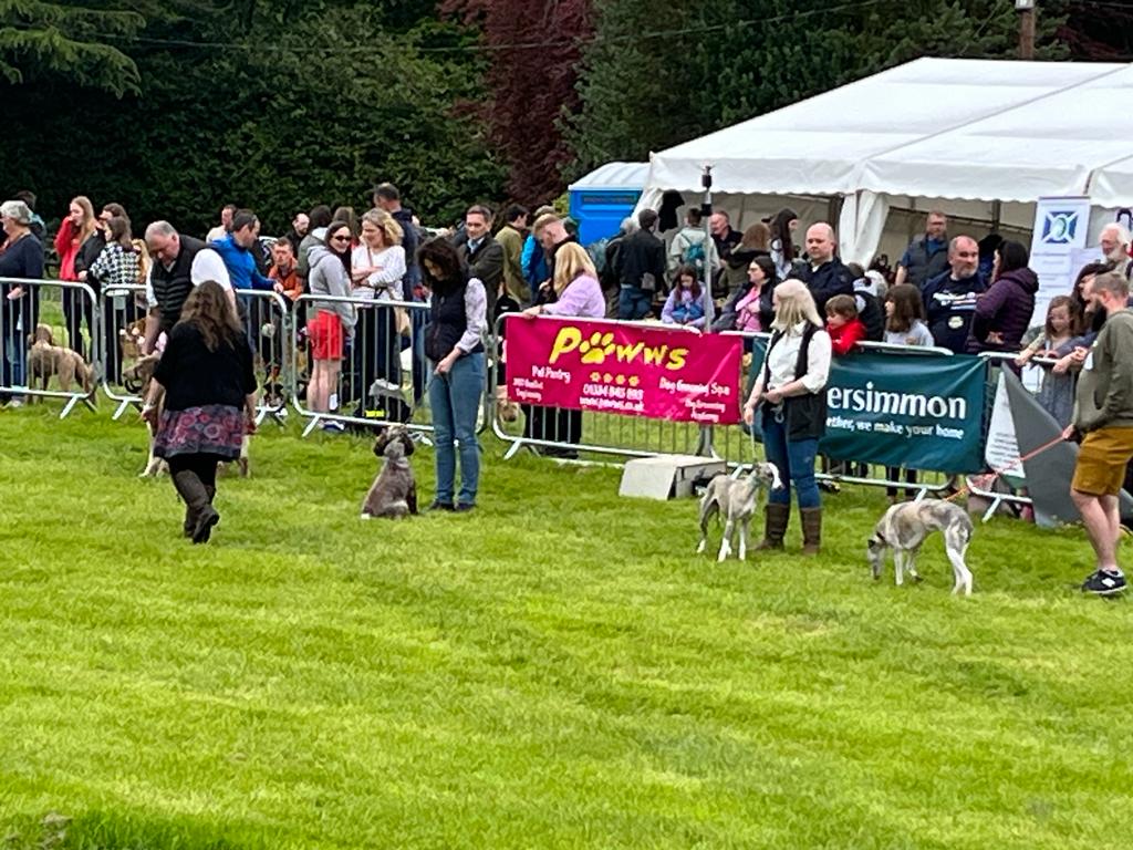 wendychambLD's tweet photo. Full on day at the Fife Show with @willie_rennie
My dog Tamlyn and I took part in a Dog Show for the first time. Let's just say that if the prizes had been awarded on the basis of barking and the consumption of dog biscuits we would have stormed it! 🤣 https://t.co/Td5DzMY2LO