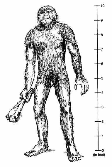 The vast unexplored regions of Canada’s Northwest Territories hold many secrets. Could a Sasquatch that the locals call the Nuk-Luk be one of them? The creature was blamed for the disappearances of miners and trappers during the 1920s.