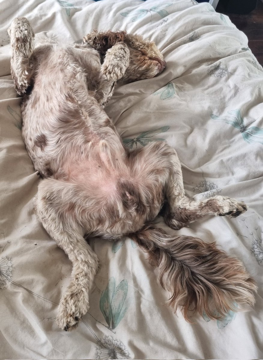 Timsley's tweet photo. Nurse Bosley is on duty today while Nurse Dexter goes off up West! #ISAIDIT ❤️ #POSTOPERATION #EAGLESYNDROME #RECOVERY #TIMMYALEXISCARRINGTONWARD #BOSLEYJOHNBOSLEY #DAVIDDEXDEXTERMASSEY https://t.co/oIZgfZiTZb
