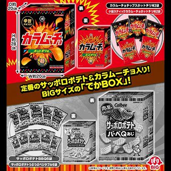 からむーちょ 楽天市場】[ポイント5倍！全品対象エントリー&購入]コイケヤ