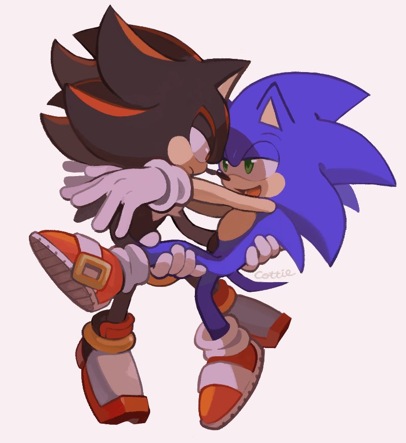 ℌ𝔦𝔪𝔦𝔱𝔰𝔲 (COMMS OPEN) on X: Meme reference Spoilers for Sonic Prime  Season 3 lol #sonadow #shadonic #sonic #shadow #sonicfanart #sonicprime  #tailsnine  / X