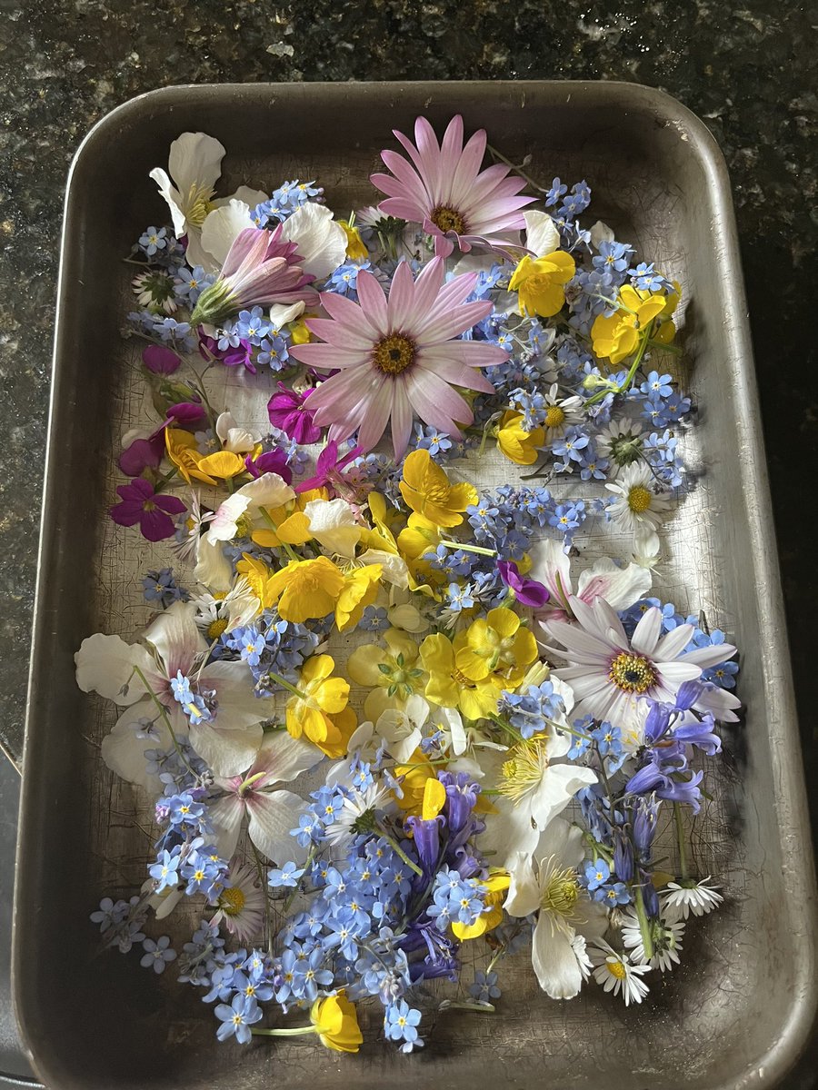 Teresa Cremin CBE tweet media